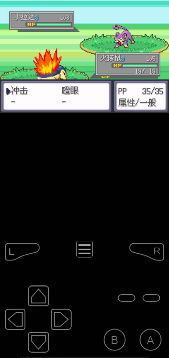 口袋妖怪液体水晶汉化版3