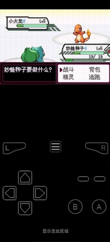 口袋妖怪最后的火红2