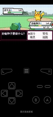 口袋妖怪最后的火红3