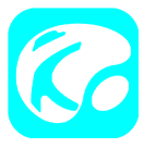酷酷题库app