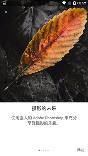 lightroom调色软件网页版3