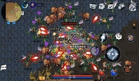 黑白之地最新版1