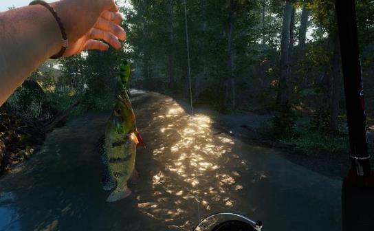 钓鱼模拟器2无限金币版2