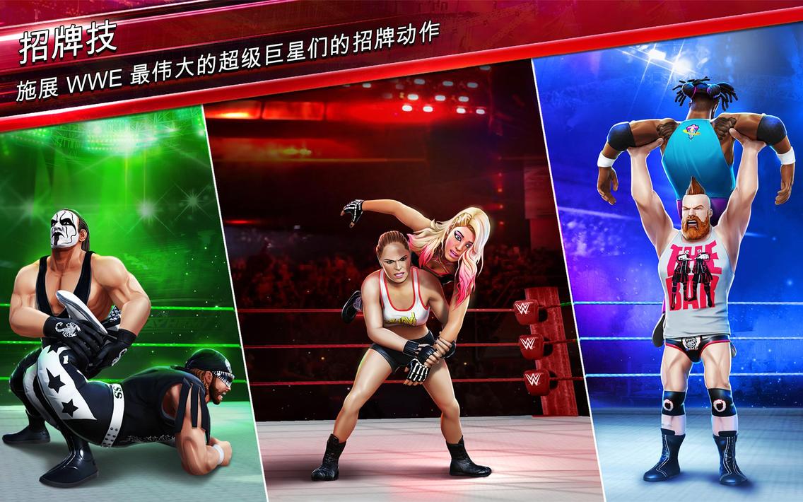 WwE混乱游戏10