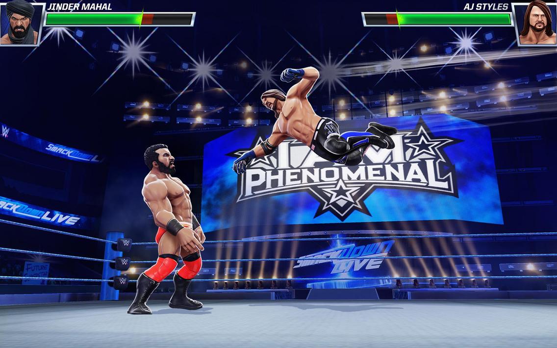WwE混乱游戏24