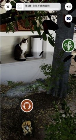 wwf森林软件3